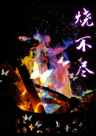 烧不尽书评